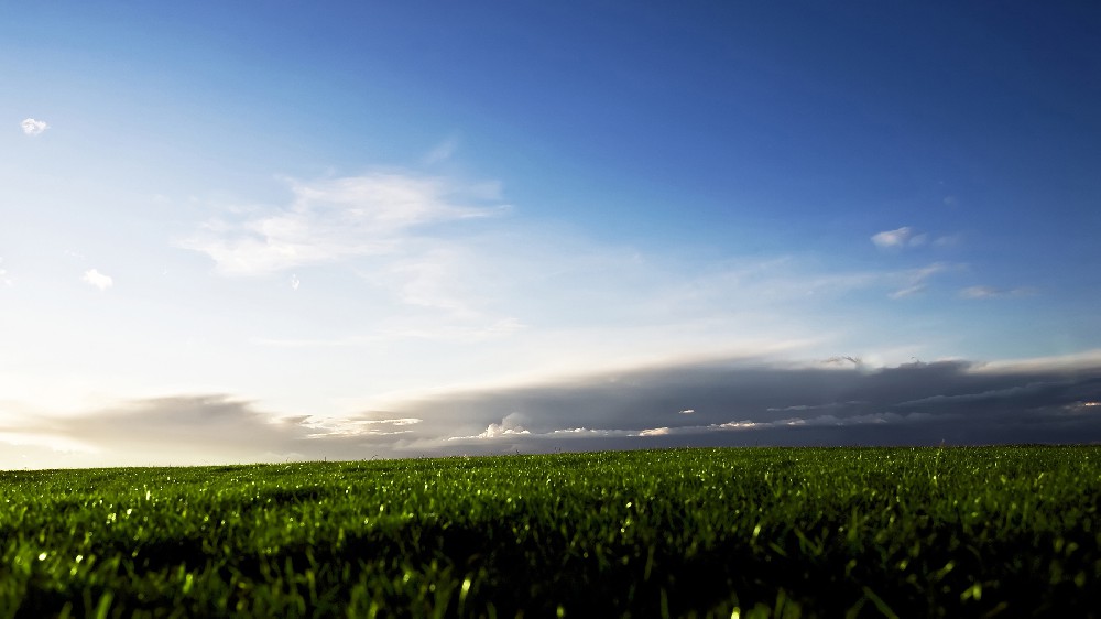 1756399830794409.jpg 壁纸 (208).jpg