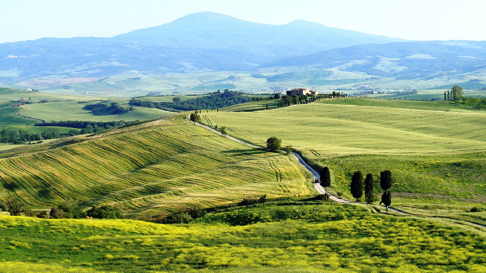 1757018484169099.jpg 壁纸 (1716).jpg